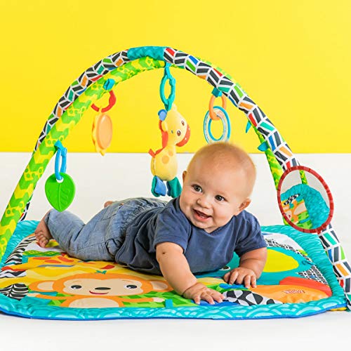 acplaypen.com Zippy Zoo Activity Gym